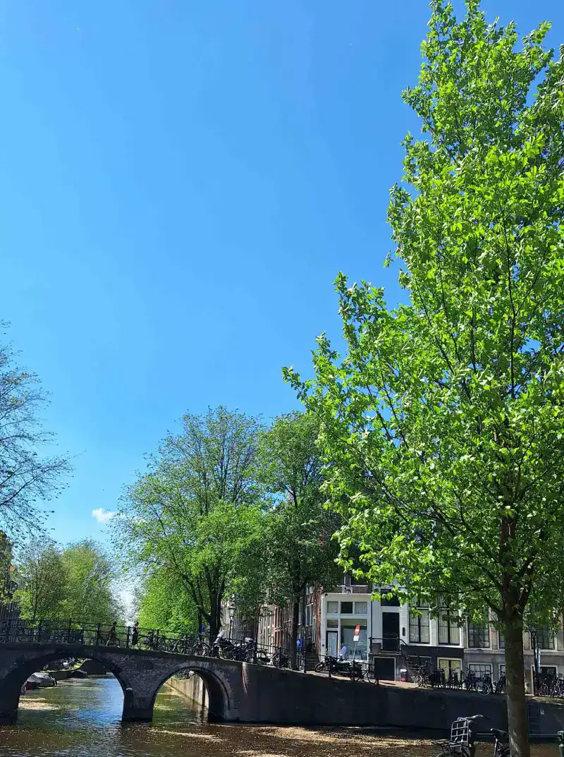 De groene bocht op de Herengracht