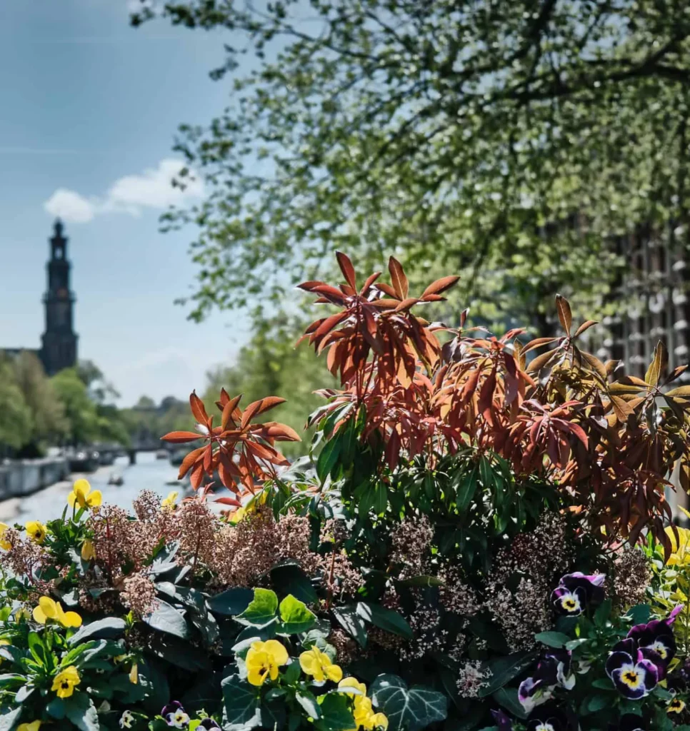 Biodiversiteit in Amsterdamse grachten