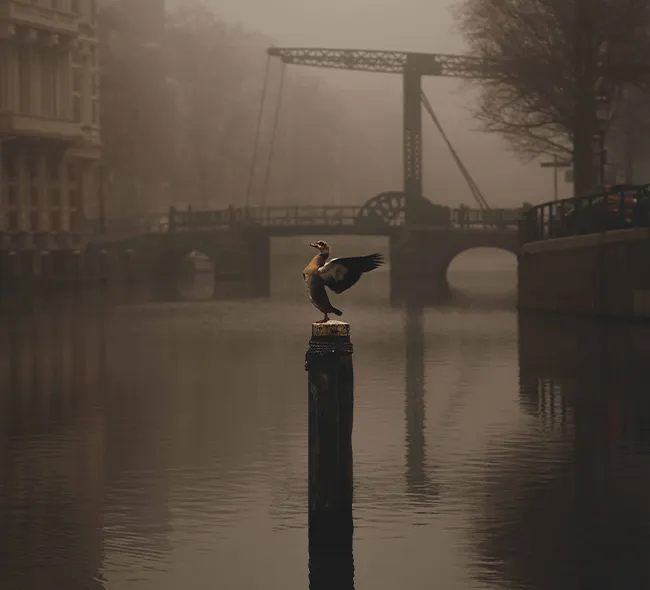 Waterkracht